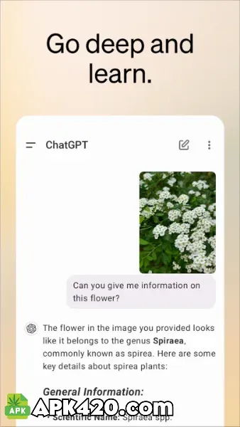 chat gpt 4 mod apk premium